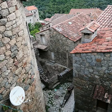 Spacieux Proche Des Plages Apartment *